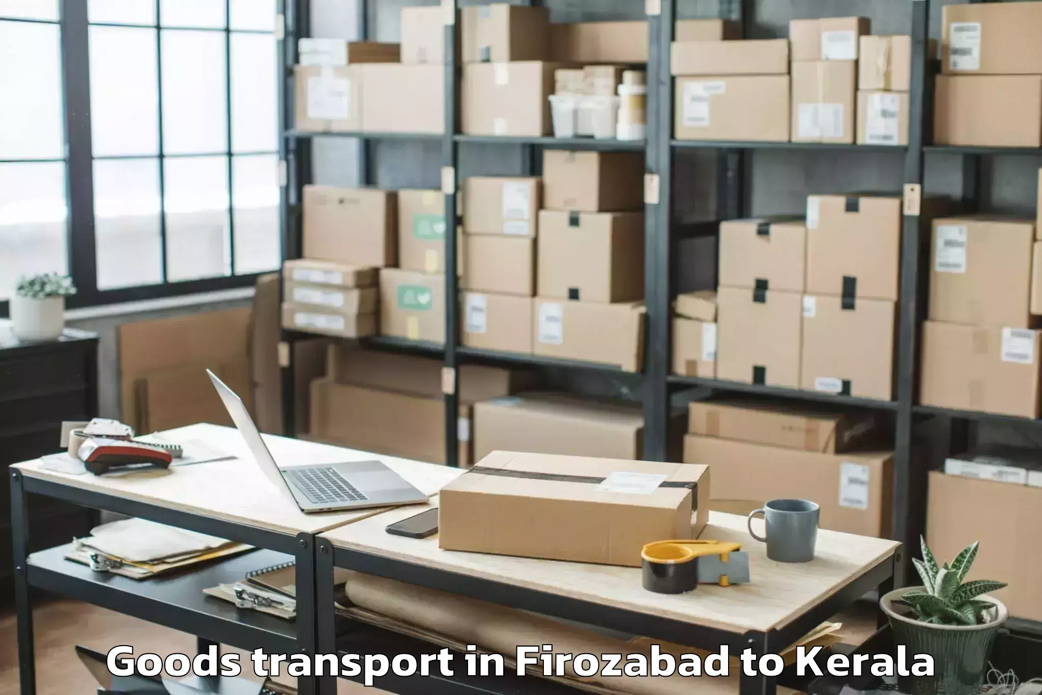 Affordable Firozabad to Selex Mall Thrissur Goods Transport